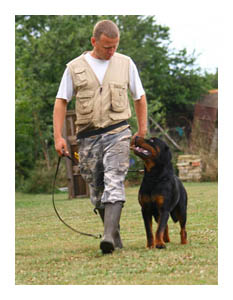 Wotan Training