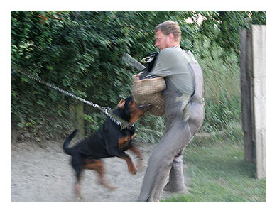 Wotan Training