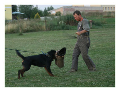 Wotan Training