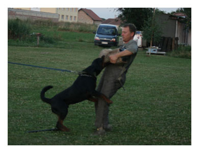Wotan Training