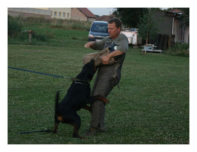 Wotan Training